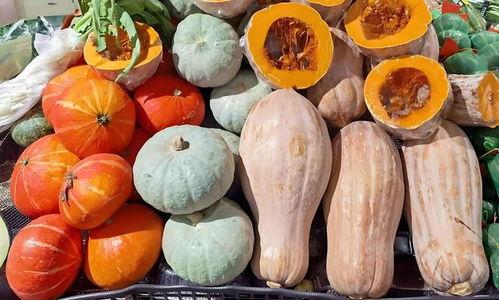 吃方瓜影响血糖,方瓜摄入对血糖生成的影响解析
