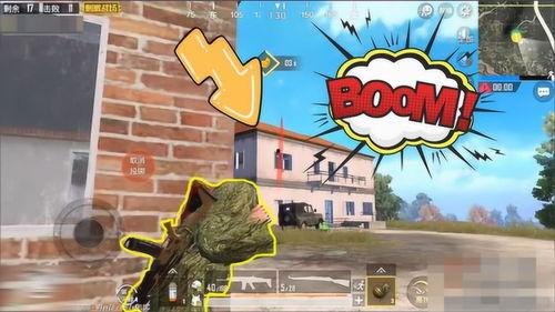 呆呆瓜吃鸡搞笑,欢乐搞笑，鸡飞狗跳的欢乐盛宴