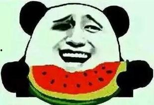 吃瓜群众挑个瓜什么意思,揭秘瓜市里的趣味与智慧