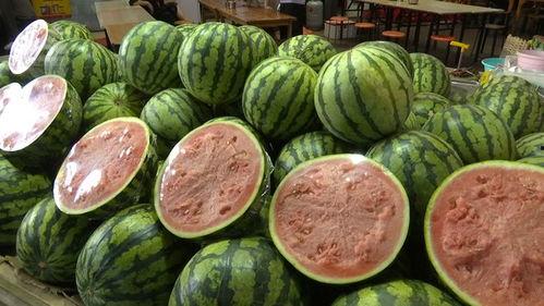 今年有瓜吃吗,今年瓜果飘香，共享丰收喜悦