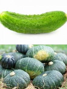 面瓜是什么瓜可以吃吗,这种瓜真的可以食用吗？