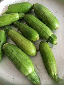 角瓜哪里可以吃,从根到叶，哪里都可以吃的神奇蔬菜