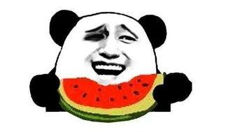 出门吃瓜,品味人间烟火气