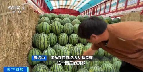 最香吃瓜,一场味蕾的盛宴之旅